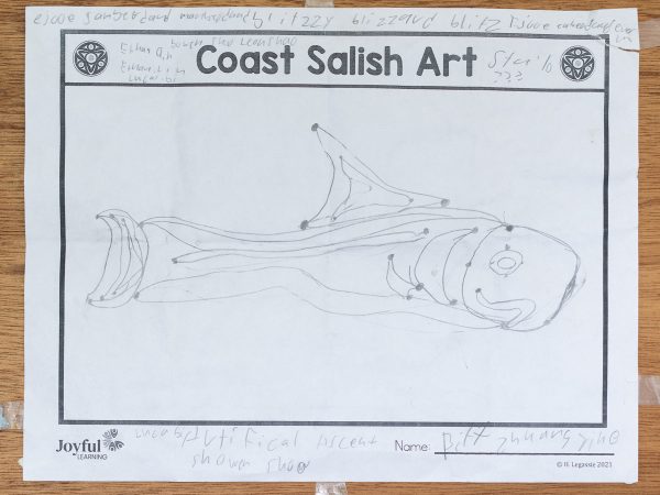 Coast salish art