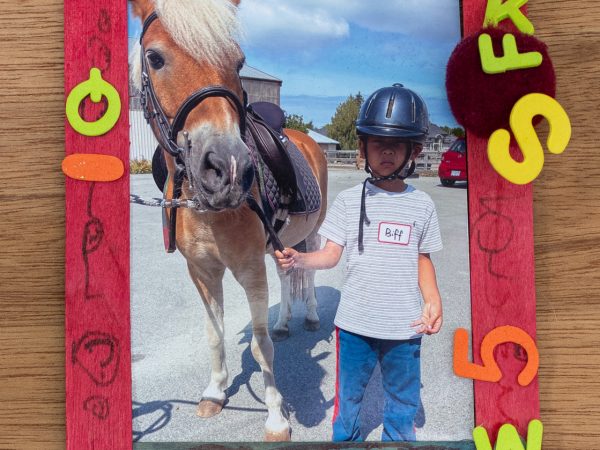 Horse ride